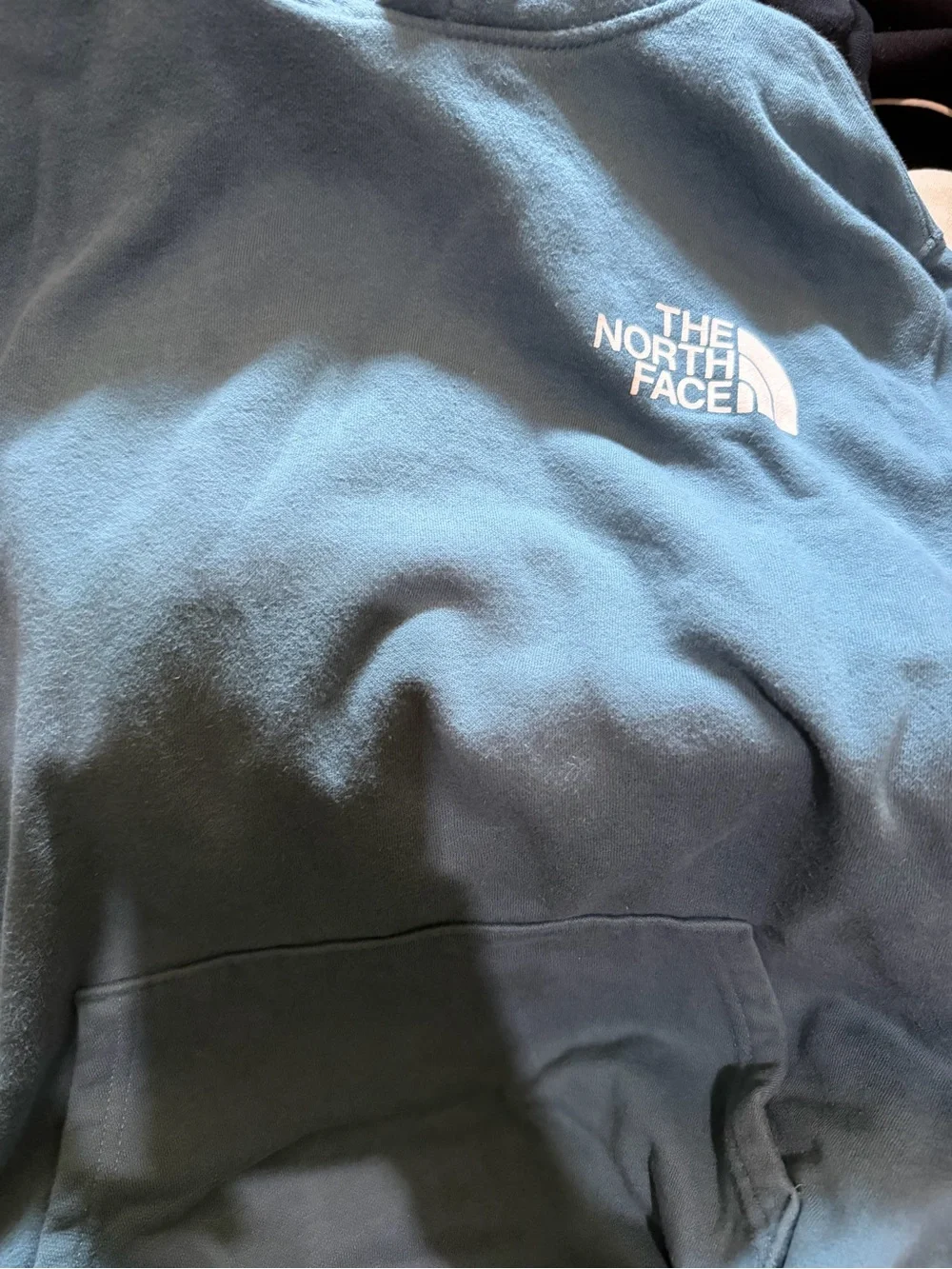 The North Face Teal Hoodie with Black Logo and White Text